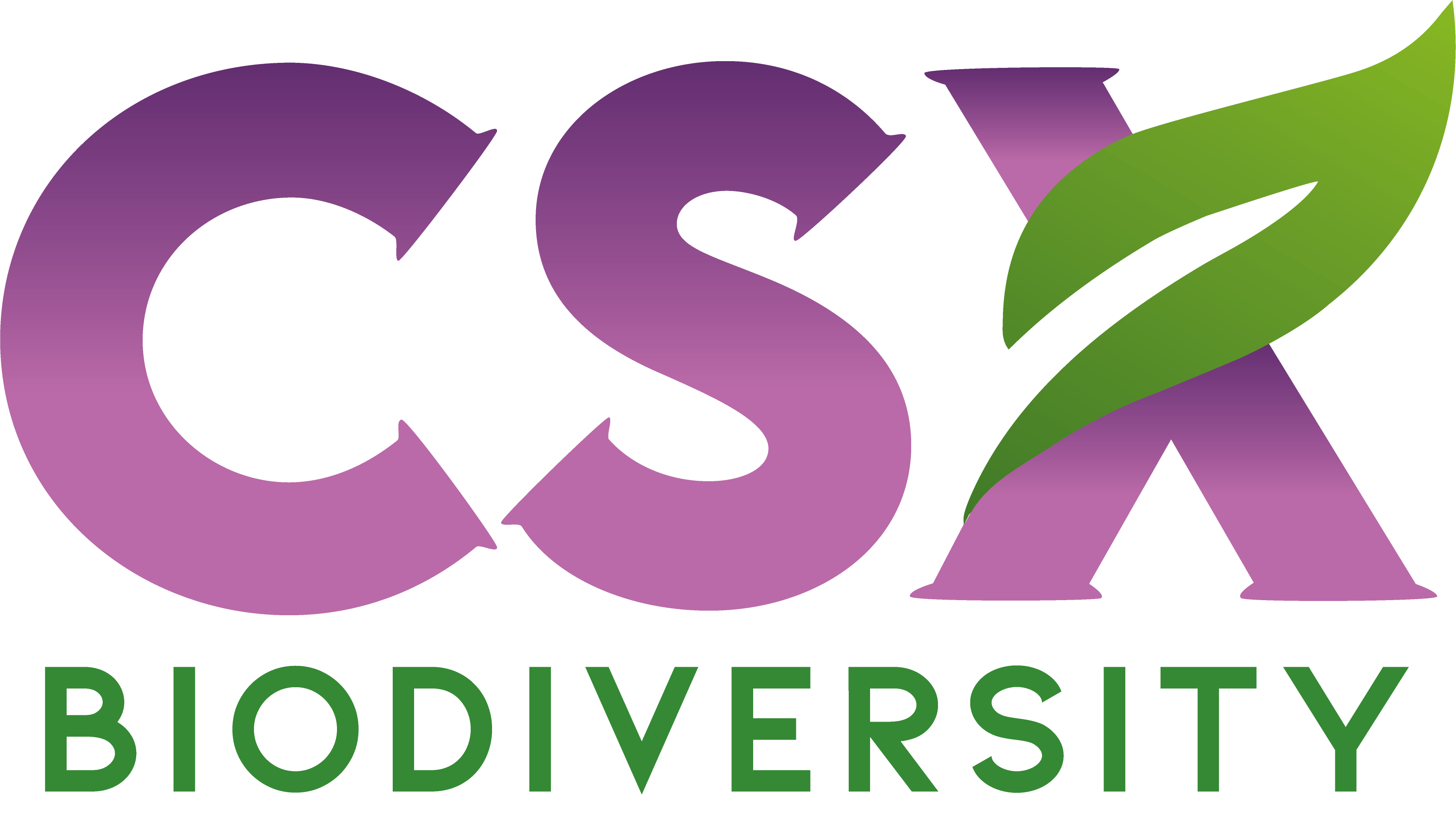 Autumn budget’s impact for BNG