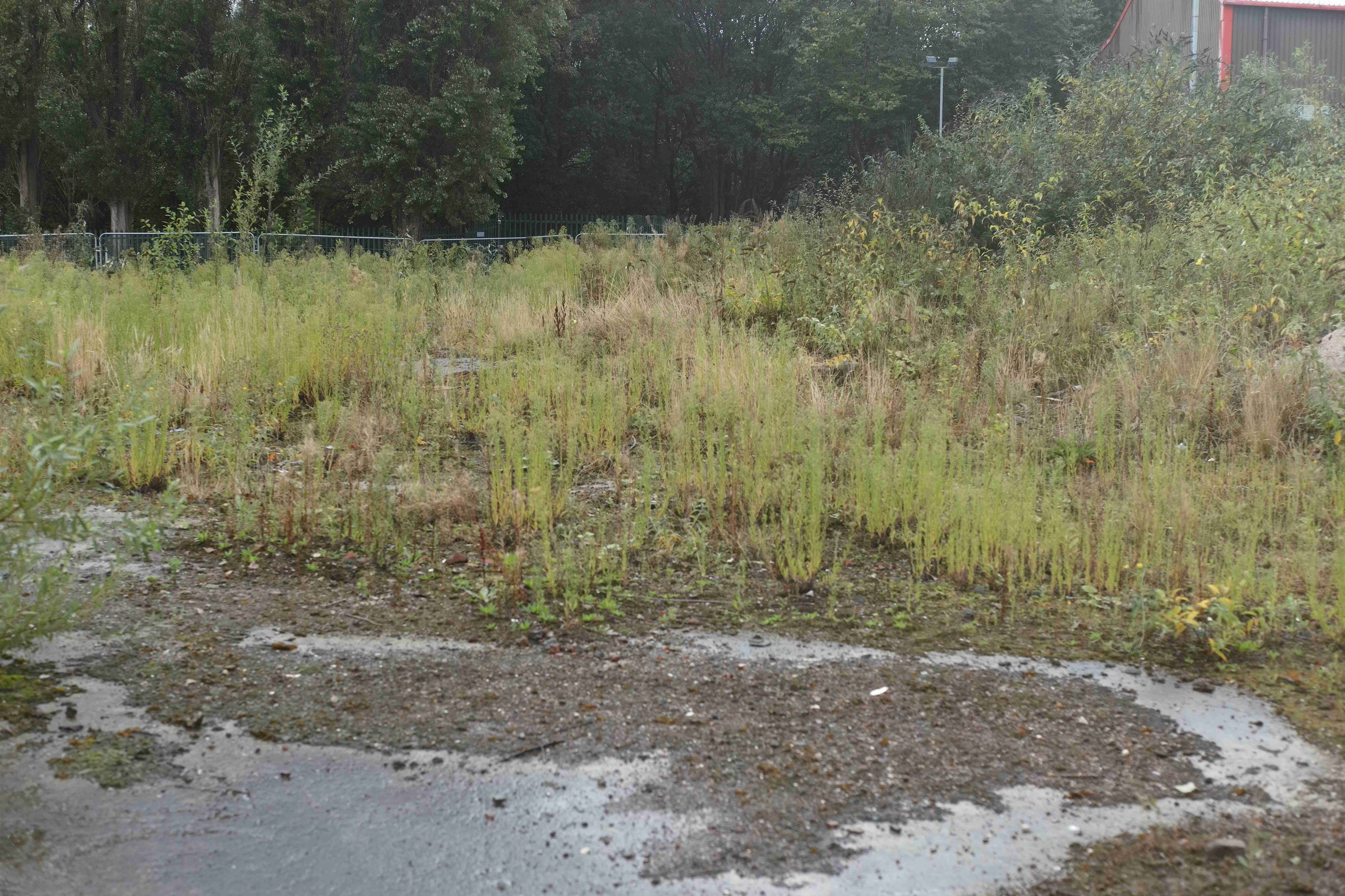 OPEN MOSAIC HABITATS HELP BROWNFIELD LAND DIVERSITY